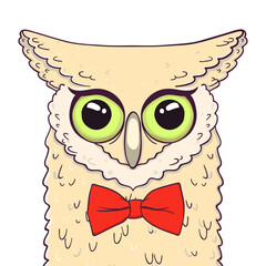 Cute Owl with bow-tie. Print for fabric, t-shirt, poster. Illustration on transparent background