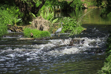 Fototapeta na wymiar Along the hikingtrail nature reserve Erpetal between Hoppegarten (Federal State Brandenburg and Friedrichshagen (Berlin) - Germany