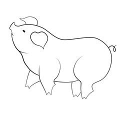 Pig sketch isolated on white background. Illustration on transparent background
