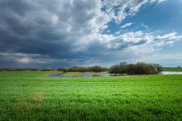 Obraz na płótnie Canvas Dark storm cloud over a green field