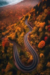 aerial view of a winding road through fall colors, created with generative ai