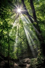 Fototapeta na wymiar sun rays piercing through dense tree canopy, created with generative ai