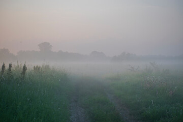 morning mist over the road
