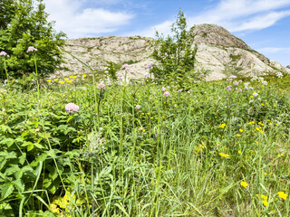 Out on a trip in the Norwegian archipelago on Helgeland, a great summer day, Nordland county, Norway