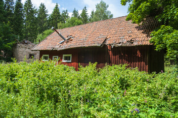 Fototapeta na wymiar Abandoned old barn at the edge of the forest