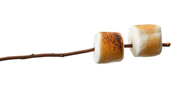 Toasted marshmallow on a stick isolated on transparent or white background, png