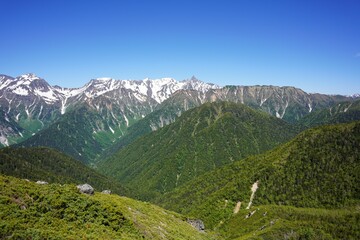 Fototapeta premium 北アルプス 常念岳から望む新緑と残雪の槍ヶ岳