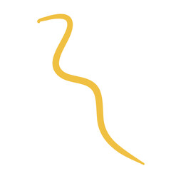 Worm Intestinal Parasite