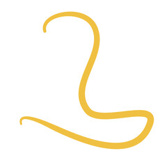 Worm Intestinal Parasite