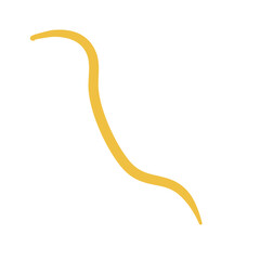 Worm Intestinal Parasite