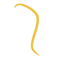 Worm Intestinal Parasite