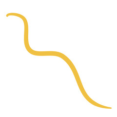 Worm Intestinal Parasite