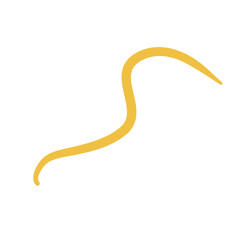 Worm Intestinal Parasite