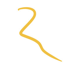 Worm Intestinal Parasite