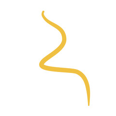 Worm Intestinal Parasite