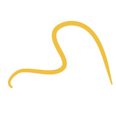 Worm Intestinal Parasite