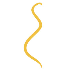 Worm Intestinal Parasite