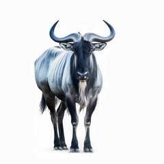Naklejka premium Blue Wildebeest Savanna Animal. Isolated on White Background. Generative AI.
