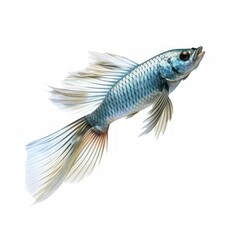 Flying fish Water Animal. Isolated on White Background. Generative AI.