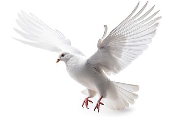 Illustration of a white dove in flight on a white background. Generative AI