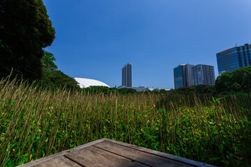 Landscape seen from the city garden