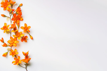 Fototapeta na wymiar Orange flower on white background. Top view. Generative AI image.