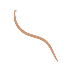 Earthworm Logo, Isolated Earthworm on White Background