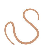 Earthworm Logo, Isolated Earthworm on White Background