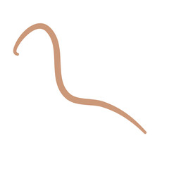 Earthworm Logo, Isolated Earthworm on White Background