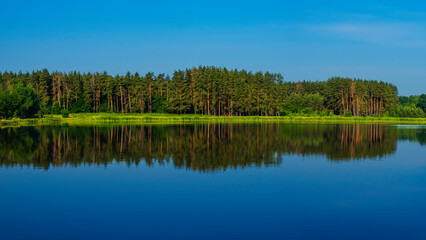 Scenic summer landscape mirror reflection of the forest and blue sky in the lake water on a sunny morning