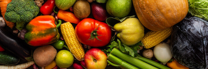 Ripe fresh vegetables, organic seasonal vegetables banner, autumn farm harvest, top view