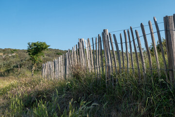 Fototapeta premium Dünenlandschaft