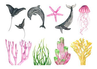 Set of marine life elements in under sea world. Underwater animal whale, dolphin, stingray, jellyfish, seaweed and corals. Watercolor hand drawn illustration isolated on white background.
