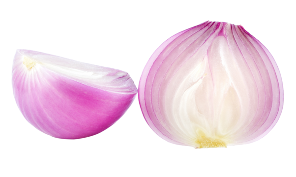 shallots transparent png