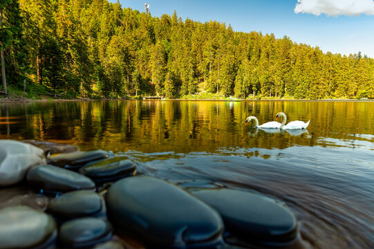 Mummelsee in Schwarzwald