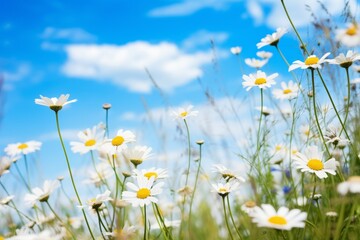 Charming meadow with chamomile and blue wild peas, Generative AI