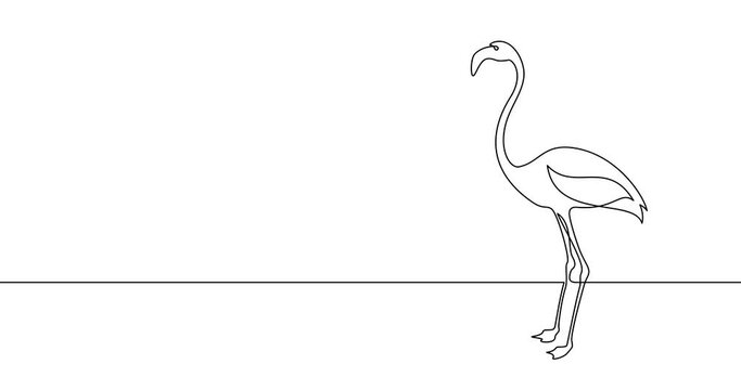 Animation of an image drawn with a continuous line. Flamingo bird.