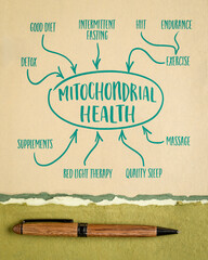 mitochondrial health concept - mind map sketch on art paper, healthy lifestyle and aging