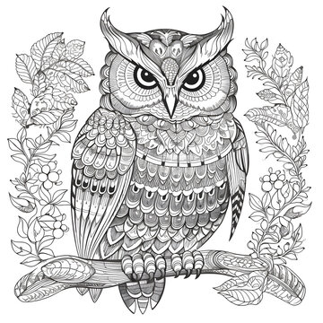 Black and white owl illustration in mandala design for painting and coloring