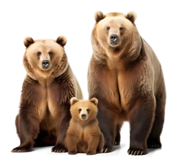 Fototapeten family of a brown bear, isolated background. Generative Ai © FP Creative Stock