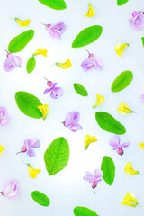 Fototapeta premium Floral pattern on white background . Spring concept.