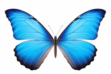 Blue tropical butterflies in flight, isolated on white, Generative AI