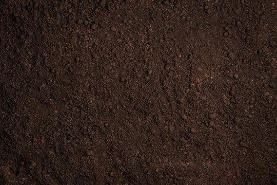 Fertile soil background.