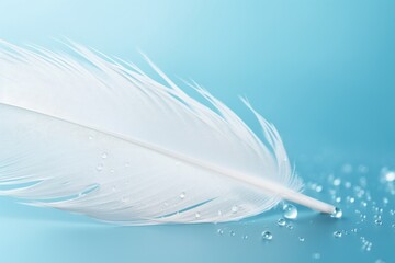 Soft bird feather with water drops on blue background Delicate nature image, Generative AI