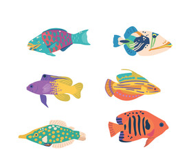 Diverse And Vibrant, Sea Fishes Inhabit Underwater Ecosystems Worldwide. From Colorful Tropical Species