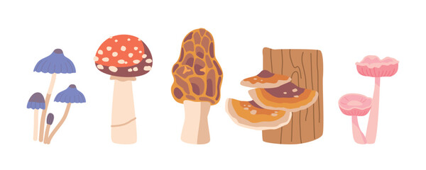 Isolated Forest Mushrooms Set. Toadstools, Morel, Amanita And Woolly Milkcap Fungi Plants Create A Whimsical Atmosphere