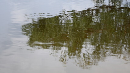 Lavender flower background with beautiful purple colors and bokeh lights. Blooming lavender in a field сlose up. Selective focus. The concept of sustainable development. nature conservation