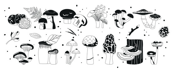 Set Of Forest Mushrooms Black Icons. Toadstool, Woolly Milkcap, Chanterelle, Morel, Amanita, Porcini, Oyster, Shiitake