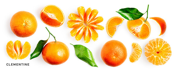 Clementine citrus fruits set and creative layout isolated on white background.