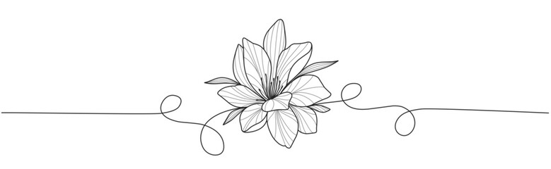 Line art vector illustration of flower, floral element design